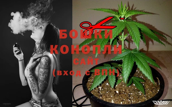 СК Надым