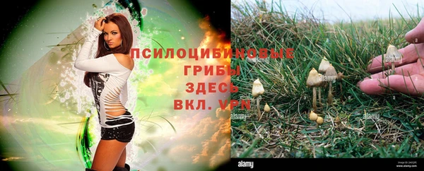 соль ск Наволоки