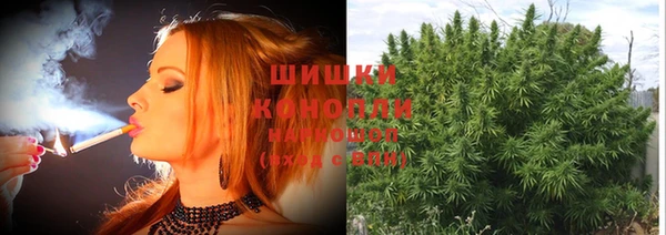 СК Надым
