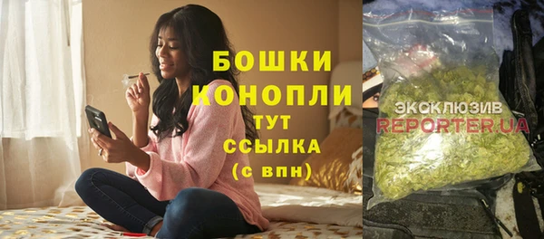 индика Навашино