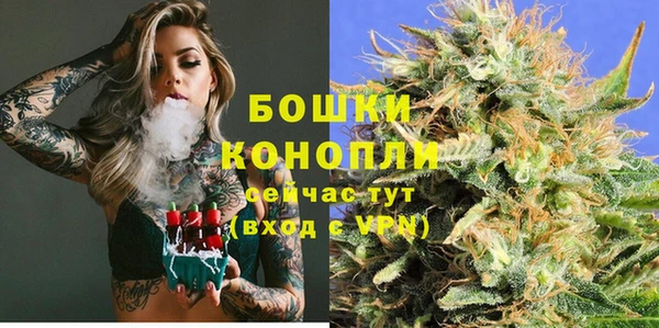 индика Навашино