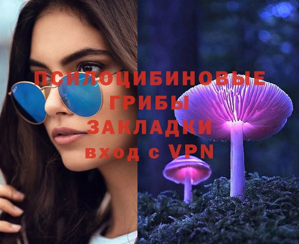 СК Надым
