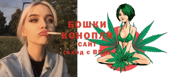 индика Навашино