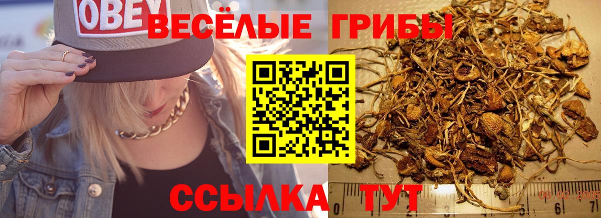 что такое   Вход с VPN  Ялуторовск  Псилоцибиновые грибы Magic Shrooms 