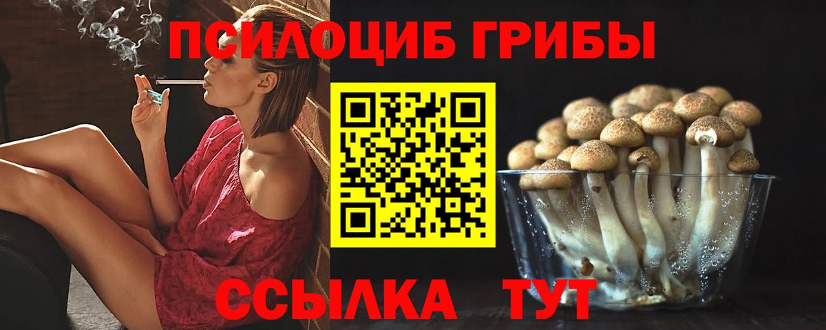 Псилоцибиновые грибы GOLDEN TEACHER Ялуторовск